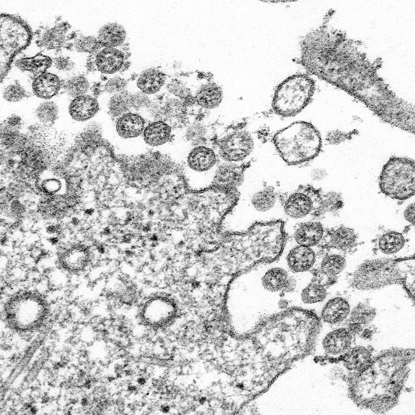 Can COVID-19 be transmitted through mail?